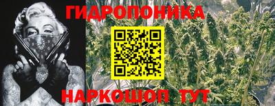 мдпв Иваново