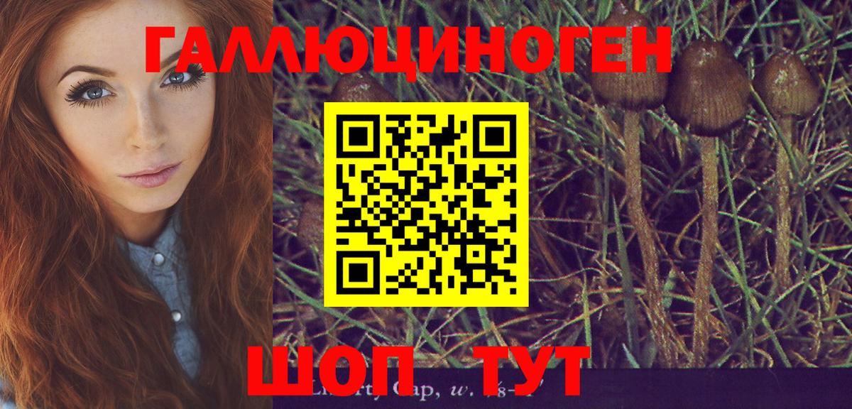 Галлюциногенные грибы GOLDEN TEACHER  Галлюциногенные грибы ЛСД  Россия  Вход с VPN 