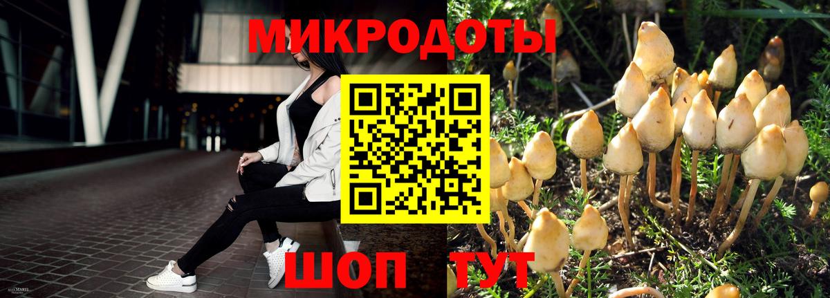 Псилоцибиновые грибы прущие грибы Россия